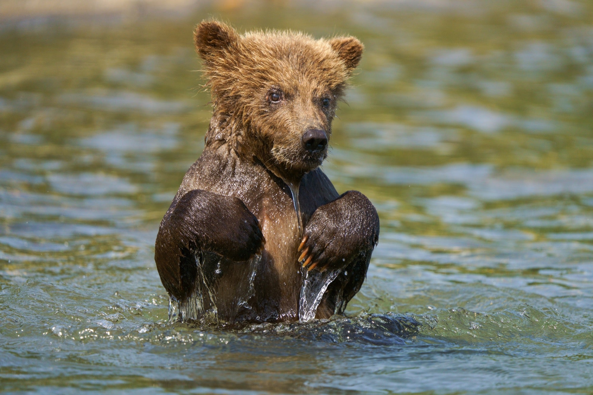 Alpha-Universe-Photo-By-Colby-Brown-Sony-a7R-IV-_DSC1218-Edit-2.jpg